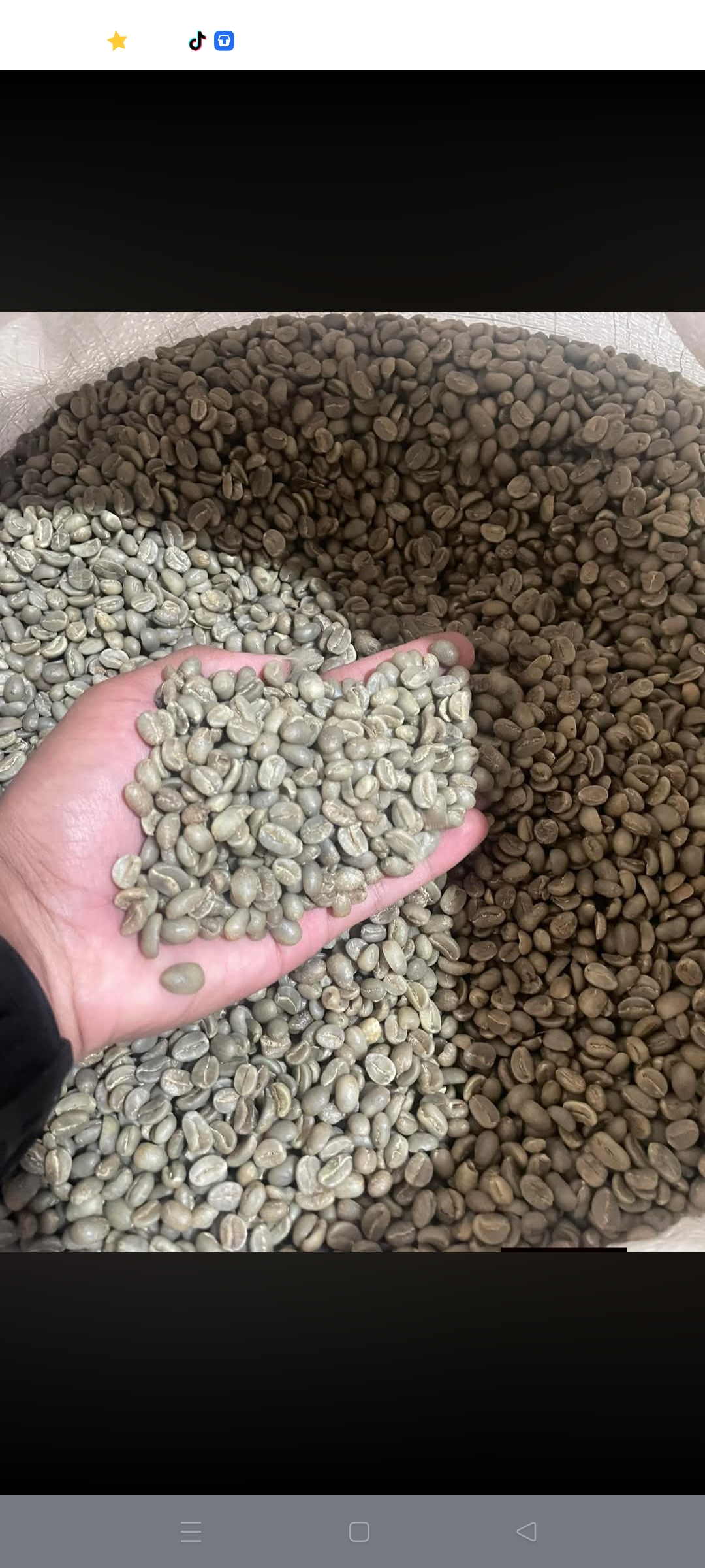 Robusta